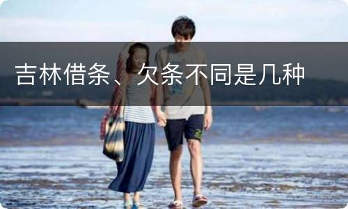 吉林借条、欠条不同是几种