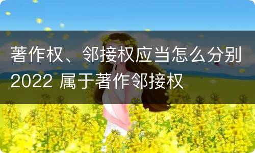 著作权、邻接权应当怎么分别2022 属于著作邻接权