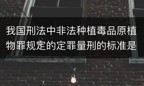 我国刑法中非法种植毒品原植物罪规定的定罪量刑的标准是怎样的
