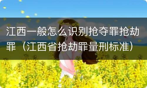 江西一般怎么识别抢夺罪抢劫罪（江西省抢劫罪量刑标准）