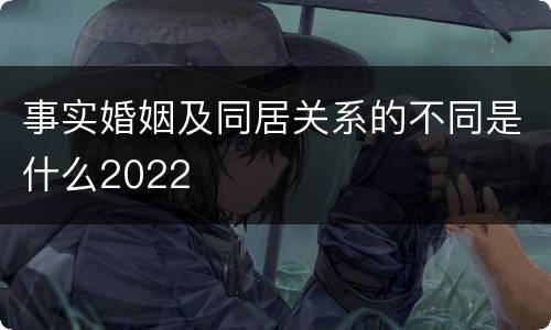 事实婚姻及同居关系的不同是什么2022