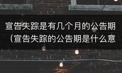 宣告失踪是有几个月的公告期（宣告失踪的公告期是什么意思）