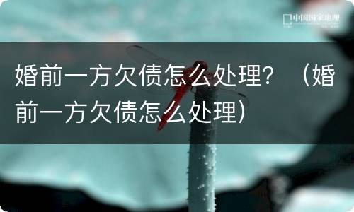 婚前一方欠债怎么处理？（婚前一方欠债怎么处理）