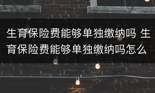 生育保险费能够单独缴纳吗 生育保险费能够单独缴纳吗怎么交