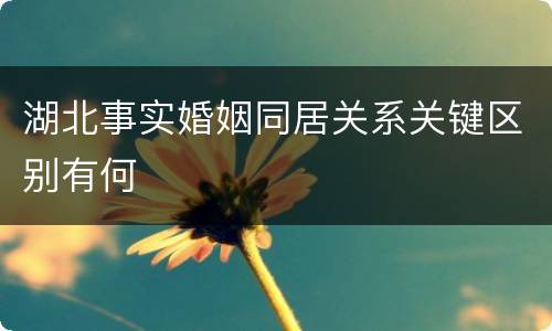 湖北事实婚姻同居关系关键区别有何