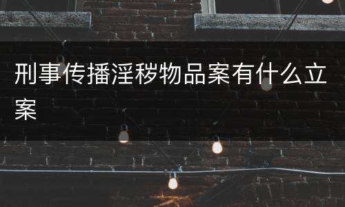 刑事传播淫秽物品案有什么立案