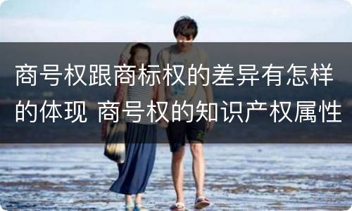 商号权跟商标权的差异有怎样的体现 商号权的知识产权属性