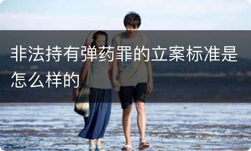 非法持有弹药罪的立案标准是怎么样的
