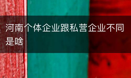 河南个体企业跟私营企业不同是啥