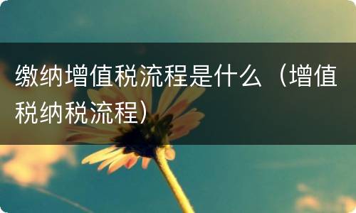 缴纳增值税流程是什么（增值税纳税流程）