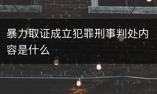 暴力取证成立犯罪刑事判处内容是什么