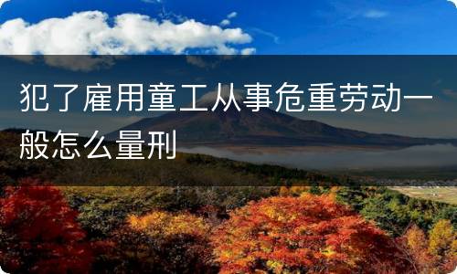 犯了雇用童工从事危重劳动一般怎么量刑