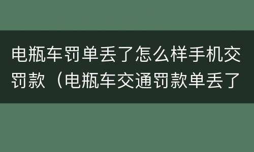 电瓶车罚单丢了怎么样手机交罚款（电瓶车交通罚款单丢了怎么交罚款）
