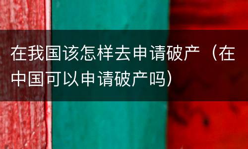 在我国该怎样去申请破产（在中国可以申请破产吗）