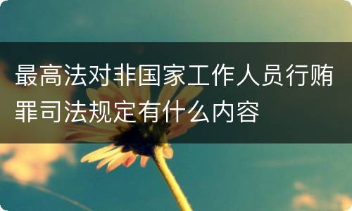 最高法对非国家工作人员行贿罪司法规定有什么内容