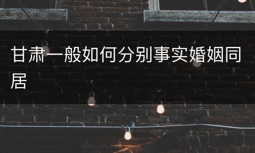 甘肃一般如何分别事实婚姻同居