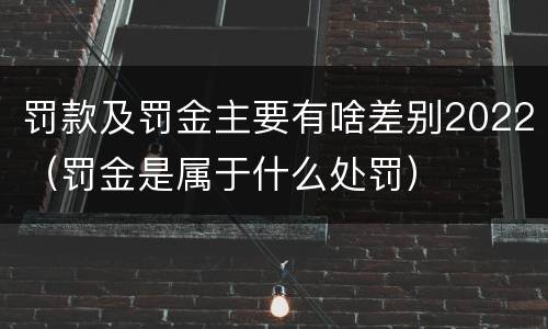 罚款及罚金主要有啥差别2022（罚金是属于什么处罚）