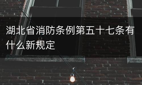 湖北省消防条例第五十七条有什么新规定