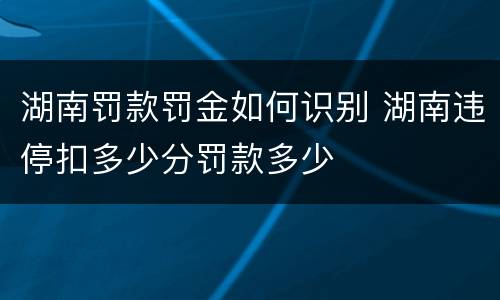 湖南罚款罚金如何识别 湖南违停扣多少分罚款多少