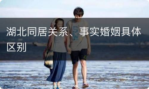 湖北同居关系、事实婚姻具体区别