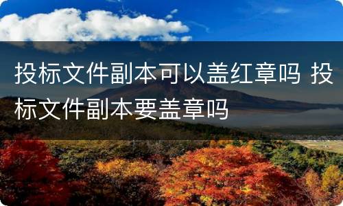 投标文件副本可以盖红章吗 投标文件副本要盖章吗