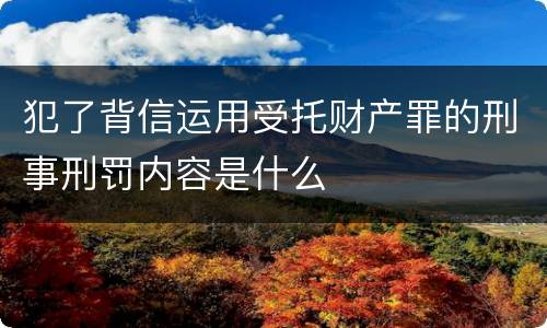 犯了背信运用受托财产罪的刑事刑罚内容是什么