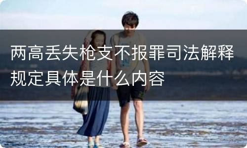 两高丢失枪支不报罪司法解释规定具体是什么内容