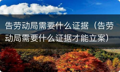 告劳动局需要什么证据（告劳动局需要什么证据才能立案）