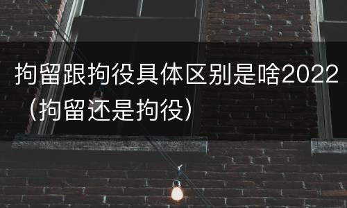 拘留跟拘役具体区别是啥2022（拘留还是拘役）