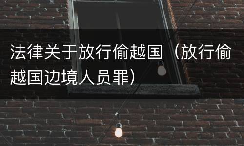 法律关于放行偷越国（放行偷越国边境人员罪）
