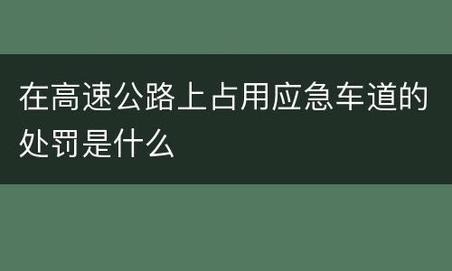 在高速公路上占用应急车道的处罚是什么