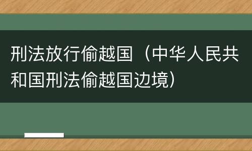 刑法放行偷越国（中华人民共和国刑法偷越国边境）