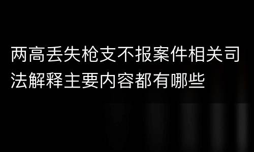 两高丢失枪支不报案件相关司法解释主要内容都有哪些