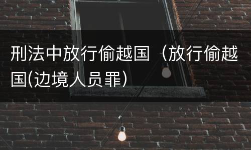 刑法中放行偷越国（放行偷越国(边境人员罪）