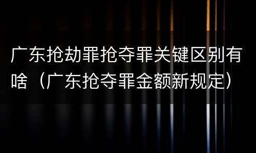 广东抢劫罪抢夺罪关键区别有啥（广东抢夺罪金额新规定）
