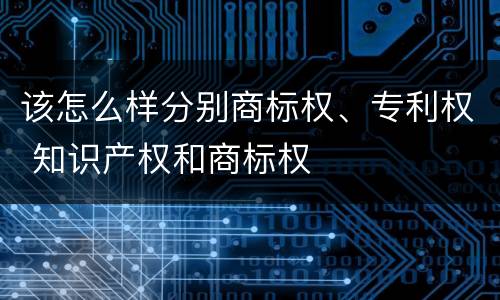 该怎么样分别商标权、专利权 知识产权和商标权