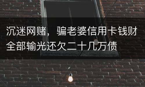 沉迷网赌，骗老婆信用卡钱财全部输光还欠二十几万债