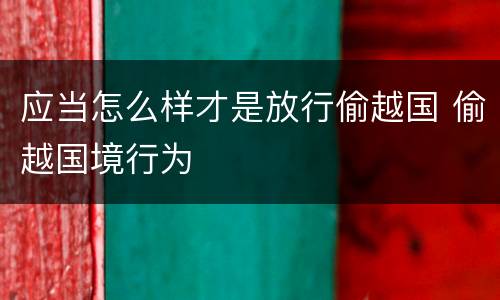 应当怎么样才是放行偷越国 偷越国境行为