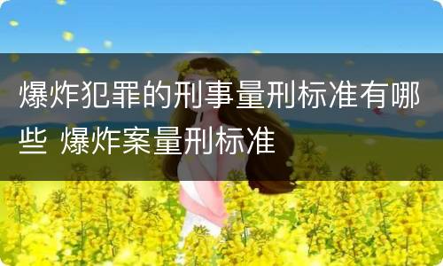 爆炸犯罪的刑事量刑标准有哪些 爆炸案量刑标准