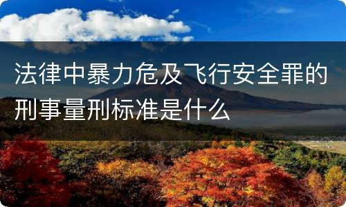 法律中暴力危及飞行安全罪的刑事量刑标准是什么