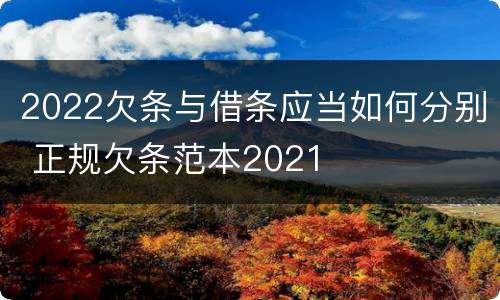 2022欠条与借条应当如何分别 正规欠条范本2021