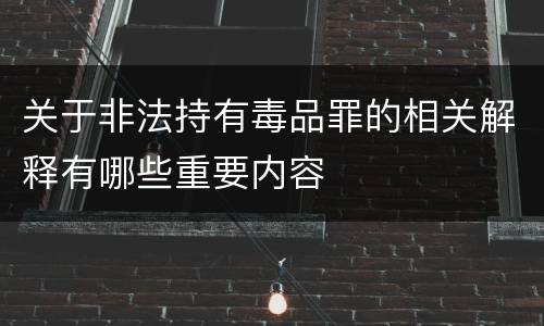 关于非法持有毒品罪的相关解释有哪些重要内容