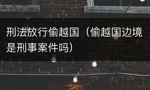 刑法放行偷越国（偷越国边境是刑事案件吗）