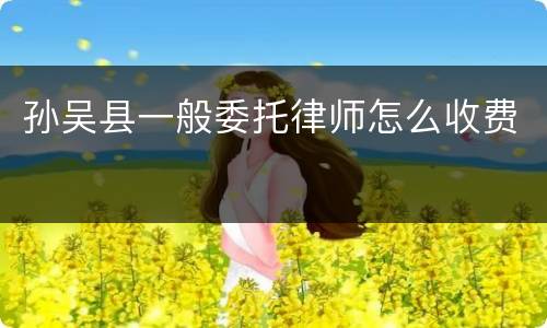孙吴县一般委托律师怎么收费