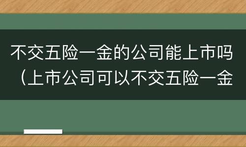 不交五险一金的公司能上市吗（上市公司可以不交五险一金吗）