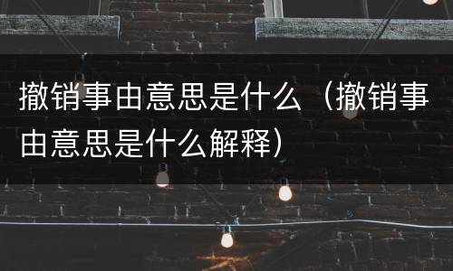 撤销事由意思是什么（撤销事由意思是什么解释）