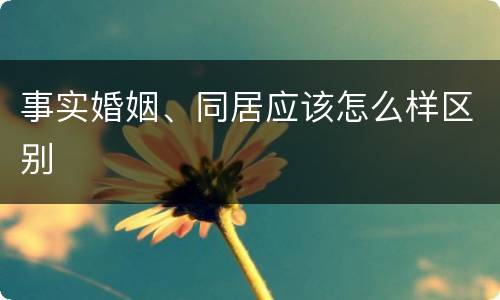 事实婚姻、同居应该怎么样区别