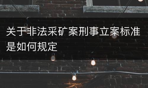 关于非法采矿案刑事立案标准是如何规定