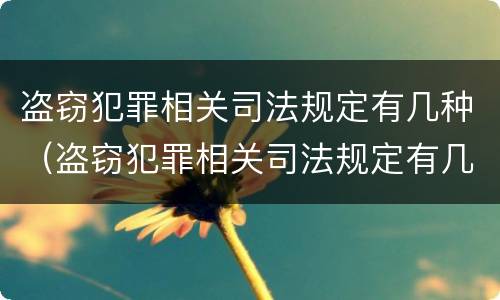 盗窃犯罪相关司法规定有几种（盗窃犯罪相关司法规定有几种类型）