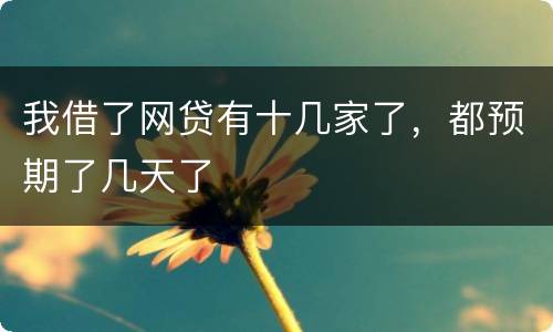 我借了网贷有十几家了，都预期了几天了